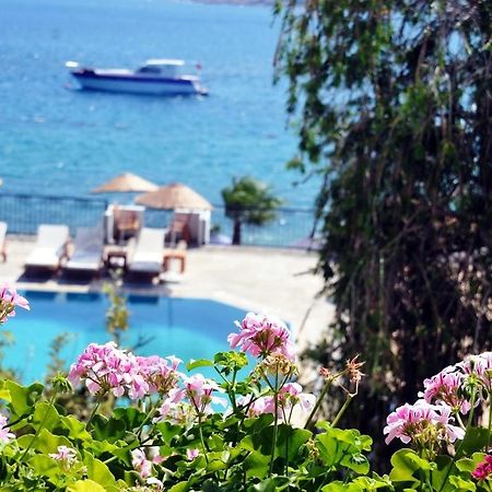 Omar Hotel & Suites Torba Exterior foto